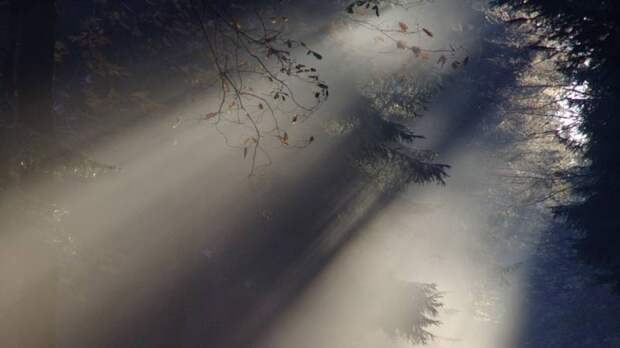 Личная встреча с Вангой полностью изменила жизнь скептика академика Бехтеревой