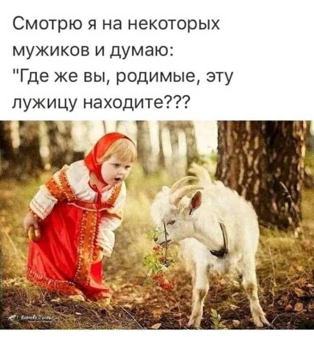 25 классных анекдотов и шуток Заряд позитива для вас