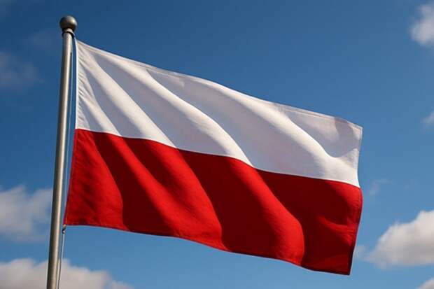 Польша передаст Украине партию истребителей МиГ-29