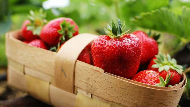 Ученые назвали продукты, снижающие риск развития деменции 