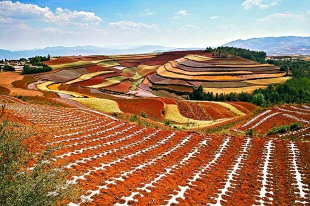 terraoko 2014 09 10 06 181 Красные террасовые поля в Китае.