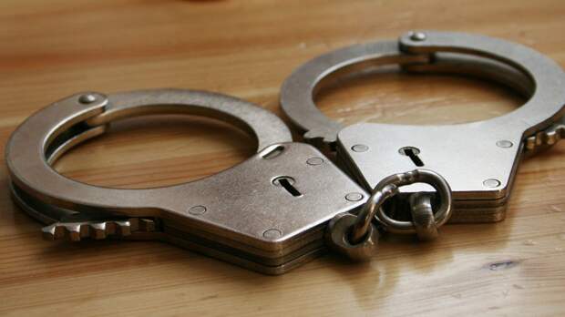 Суд Тульской области приговорил к колонии мать погибших при пожаре детей