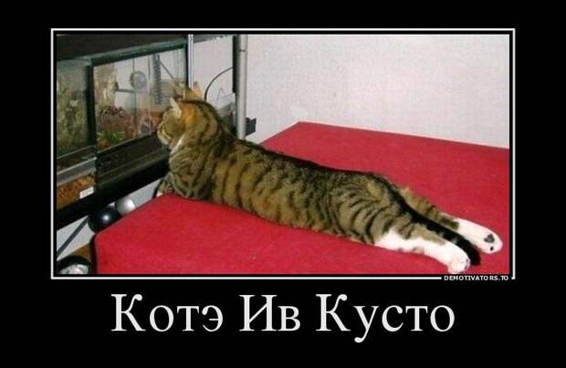 Демотиваторы. Классная подборка!