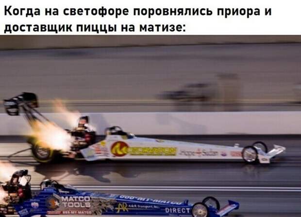 Смешные и познавательные картинки