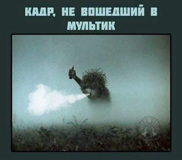 Законом запрещено: реакция соцсетей на запрет вейпов и кальянов вейп, вейпер, девушки, закон, запрет, кальян, россия, соцсети