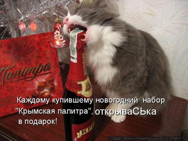 Лучшие котоматрицы недели