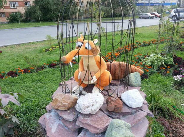 Белка должна быть в клетке. | Фото: Женский каприз. Белка должна быть в клетке. | Фото: Женский каприз.
