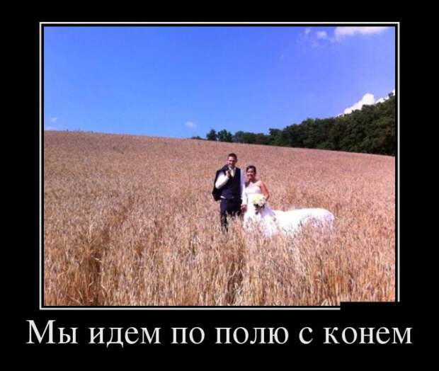 Демотиваторы (30 фото)