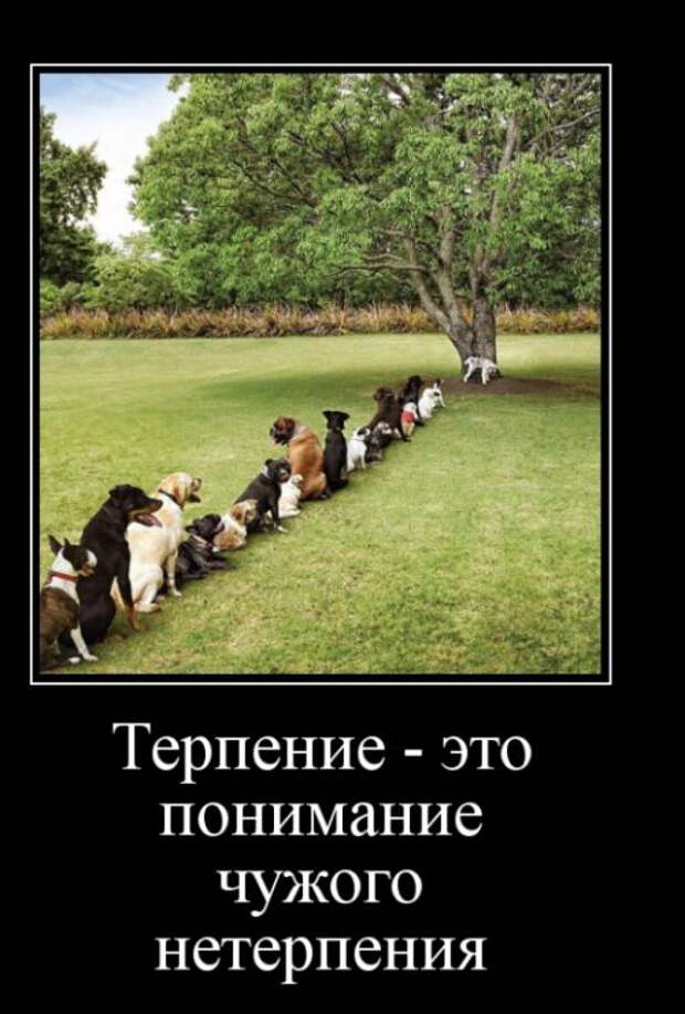 Демотиваторы (30 фото)