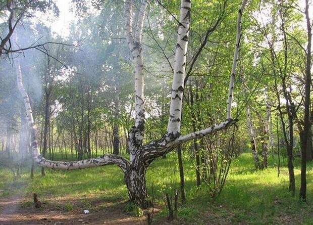 жуткие места