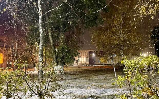 Ночью в регионе начнется сильный ветер