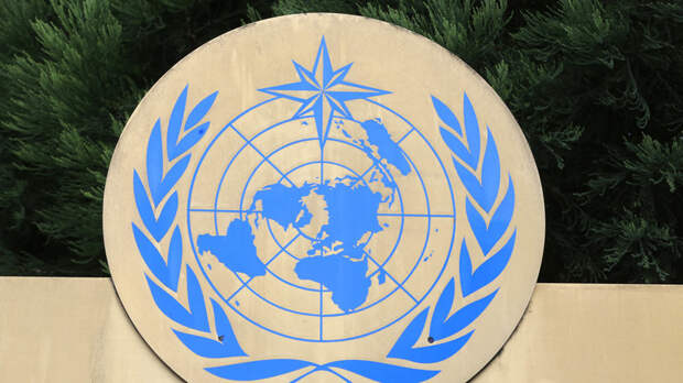 Медведчук: Украину спасёт только внешнее управление под эгидой ООН