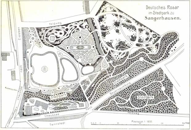 rosarium_europa_001.jpg