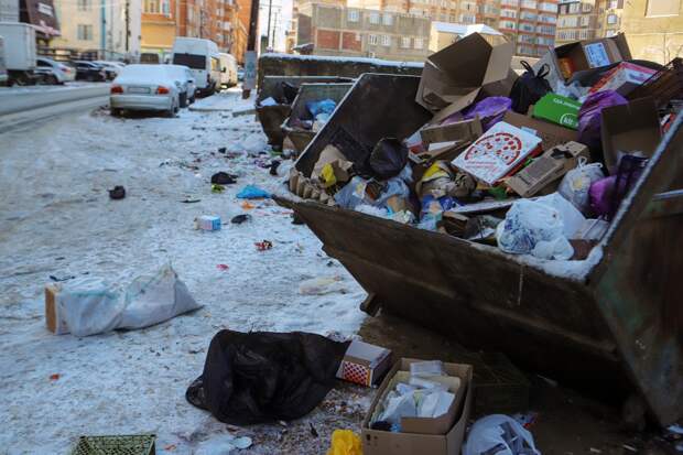 Свиньи раскидали мусор по российскому городу