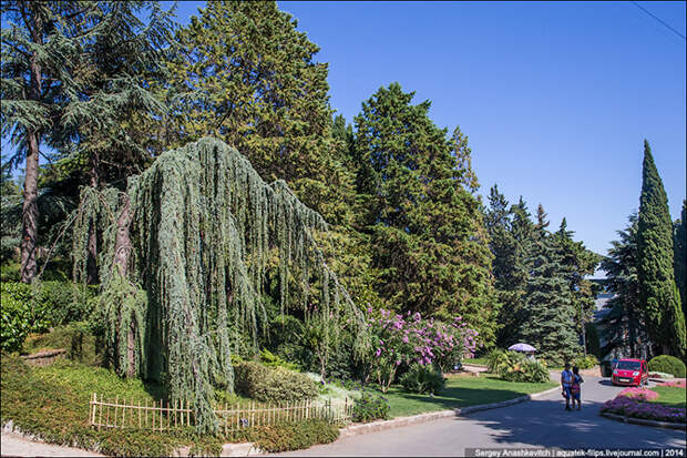 Прогулка по парку 