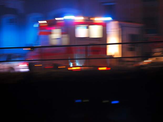 Неизвестный расстрелял двух охотников в Подмосковье - один погиб