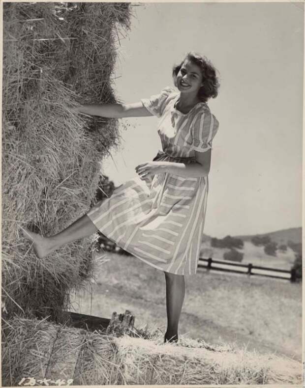 Шведская красавица Ингрид Бергман. Фото / Ingrid Bergman. Photo