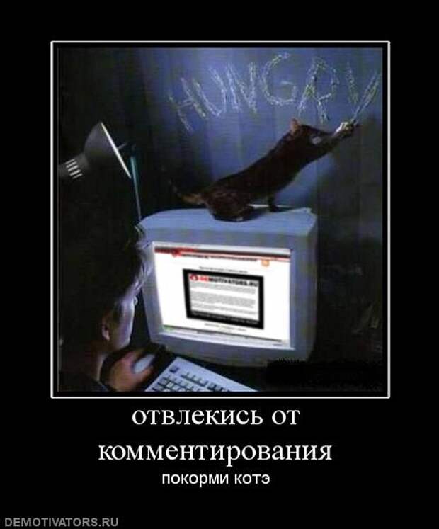 кот