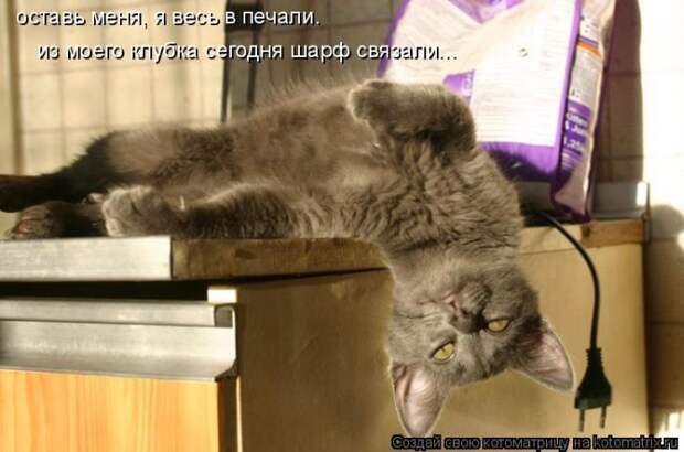 Лучшие котоматрицы недели (50 фото) Лучшие котоматрицы недели (50 фото)