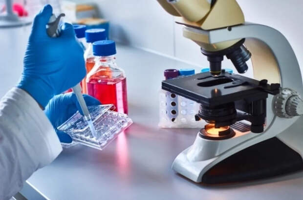 Ученые раскрыли тайну паразита, вызывающего сонную болезнь