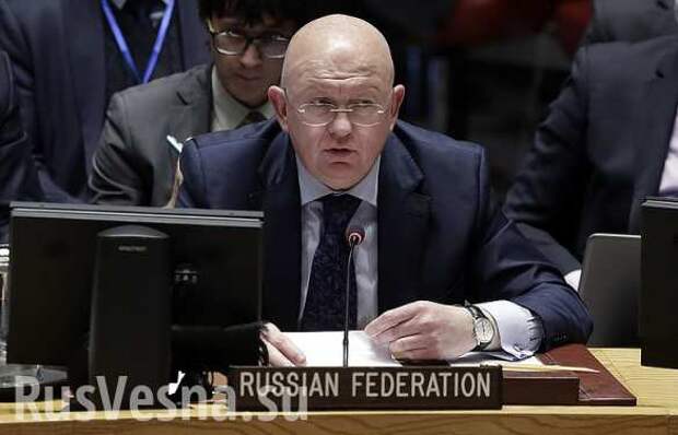 Германия и США накинулись на Россию в ООН — Небензя ответил | Русская весна