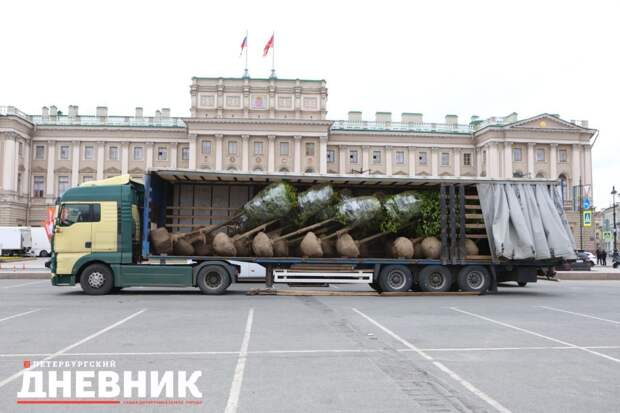 На Синем мосту в Санкт-Петербурге появится сад-трансформер с 170 деревьями