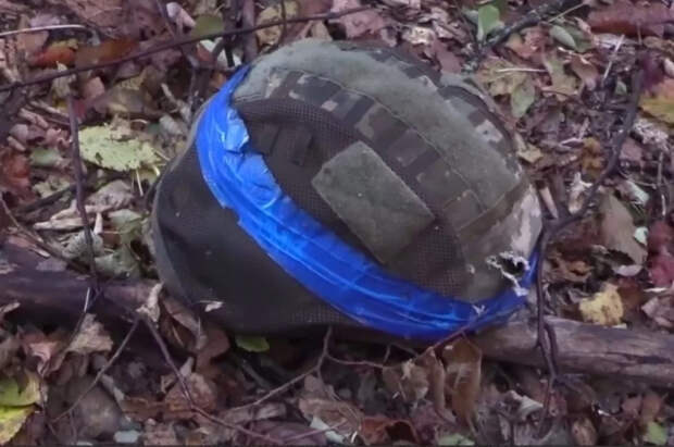 В Запорожской области уничтожены боевички ВСУ Кара и Лайза