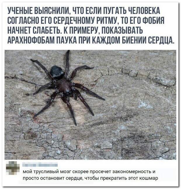 Выдумщики и остряки снова штурмуют комментарии в соцсетях Выдумщики и остряки снова штурмуют комментарии в соцсетях