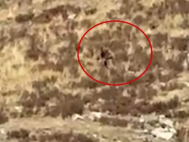 Видео со снежным человеком в Колорадо завирусилось в Сети (ВИДЕО)
