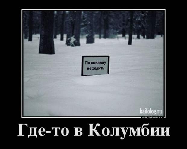 Демотиваторы демотиваторы, прикол