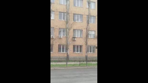 Здравствуйте. Крик души. Губители деревьев, которые путем обрезания верхушек стараются омолодить старые деревья,убивают наш город, который раньше утоп...