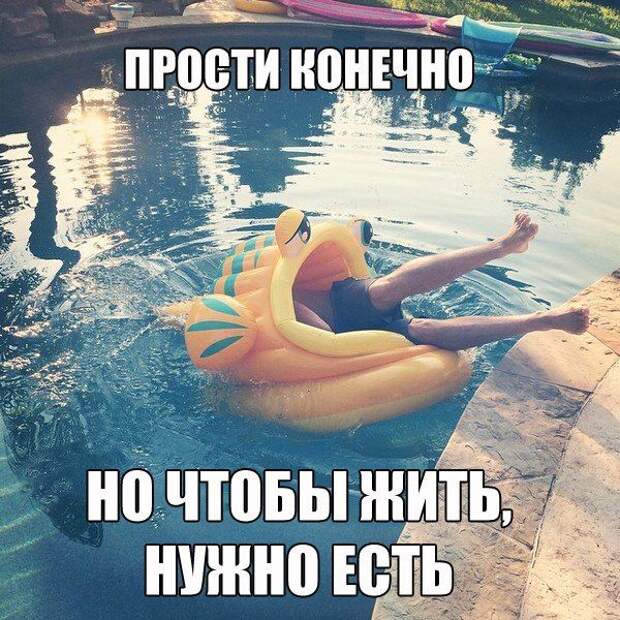 Картинки со смешными подписями