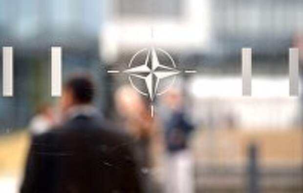 Депутаты «Слуги народа» возглавили делегации в ПА НАТО и ОБСЕ - Яременко