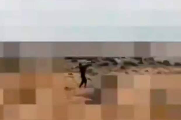 Иранский ополченец сбил беспилотник из ПЗРК, пуск ракеты сняли на видео