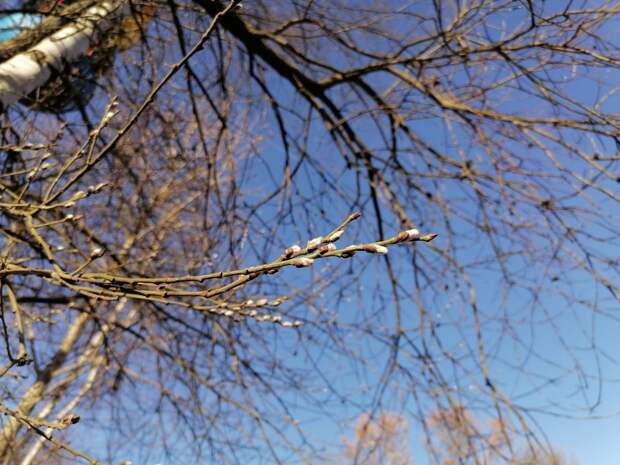 Жителей Петербурга на выходных ждет холодная и мокрая погода