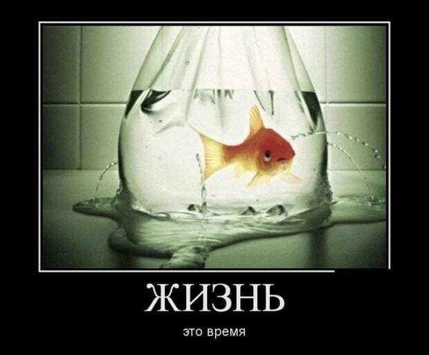 Демотиваторы (30 фото) Демотиваторы (30 фото)