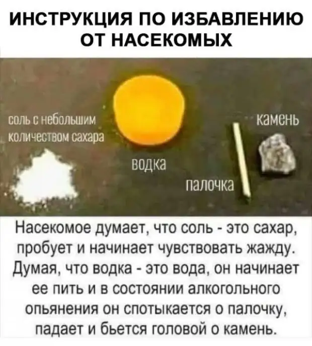 Как ни крути, а борьба с двумя главными русскими бедами реально ведётся. 