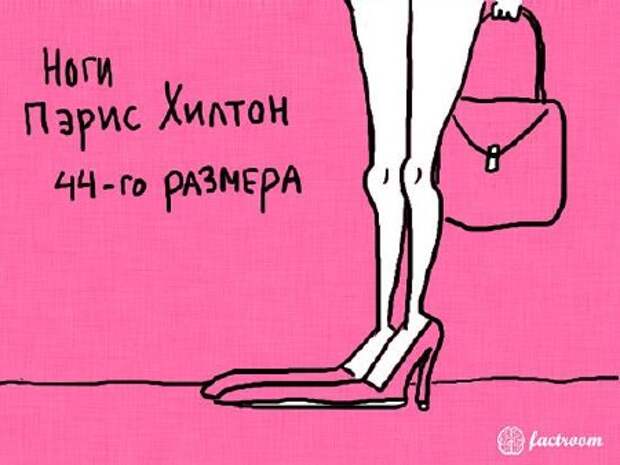 12 (450x338, 37Kb)
