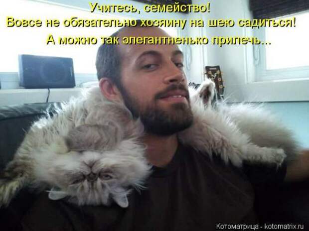 Котоматрицы (картинки с надписями)