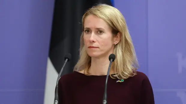 Эстония вводит дополнительные санкции против Белоруссии