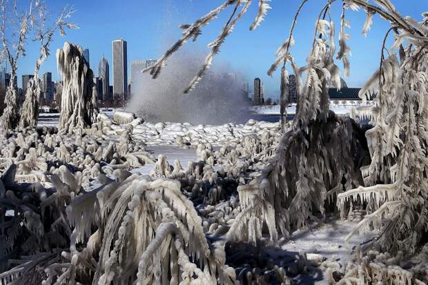 winterbeauty33
