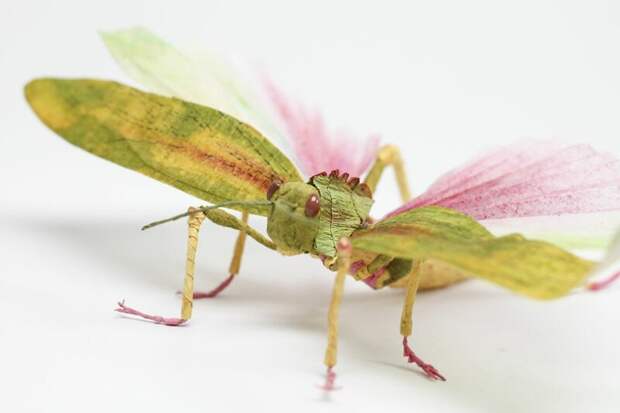 Бумажные насекомые, которых легко спутать с настоящими-24 фото-