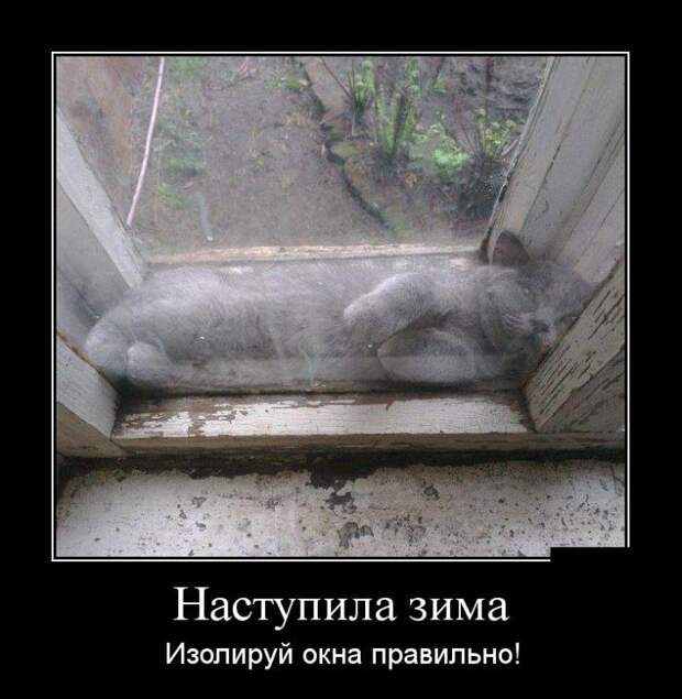 Сборник демотивационных приколов Сборник демотивационных приколов