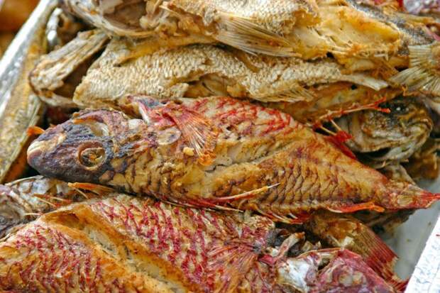 Секреты северной кухни: почему у поморов рыба пахнет морем