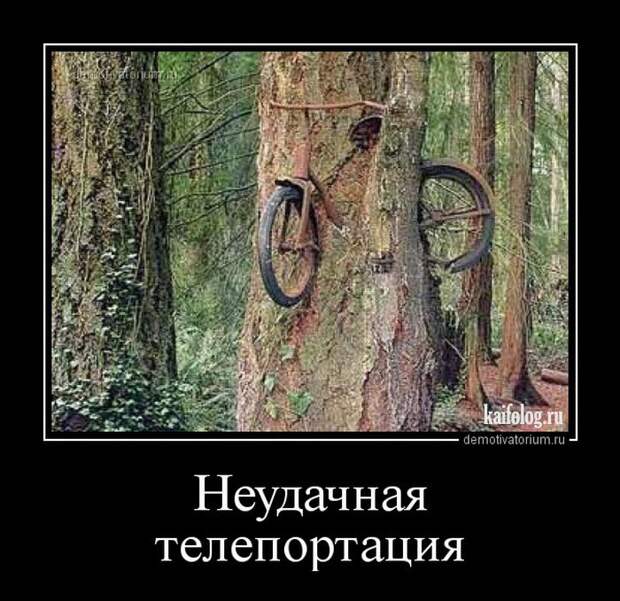 Демотиваторы - 219 (55 демотиваторов)