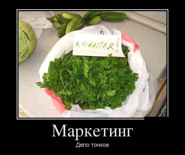 Свежие демотиваторы декабря