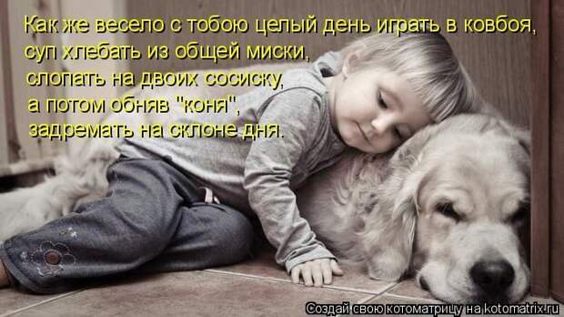 Кошатина да псятинка позитивная, этакая забавная, с надписями, очень много на выходные