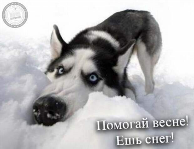 Ешь снег