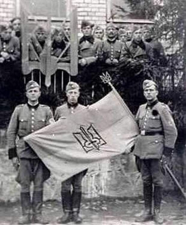 Не наши братья Не наши братья