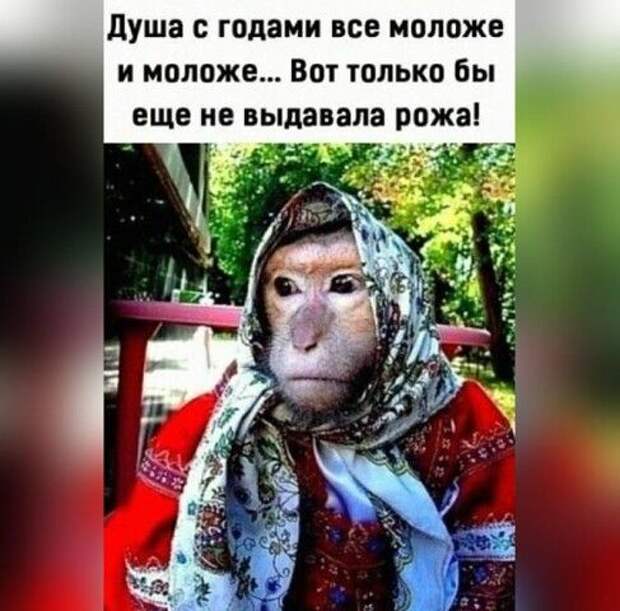 Смешные свежие мемы (вторник)